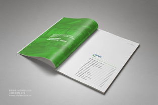 鼎盛企業集團形象畫冊及產品畫冊設計執行方案 構建統一、卓越的企業視覺形象